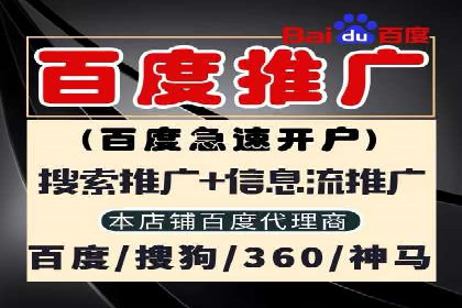 探索SEM竞价推广的成功案例：如何快速提升品牌知名度